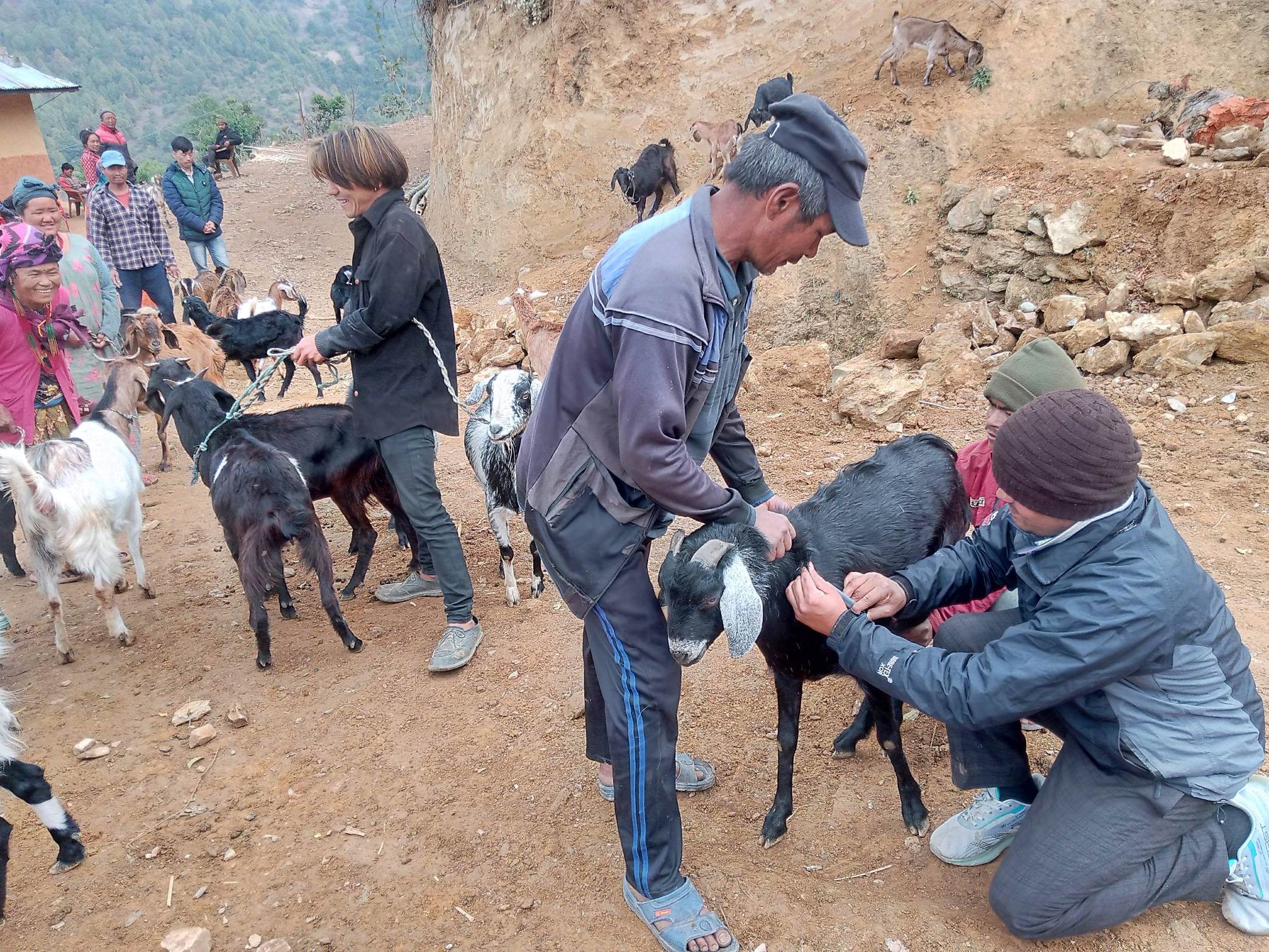 Community Goat Farming Program