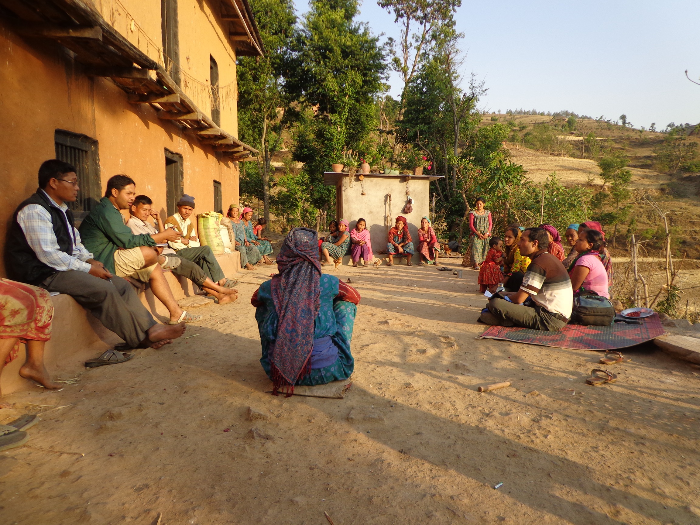 Interim Forest Project (IFP)